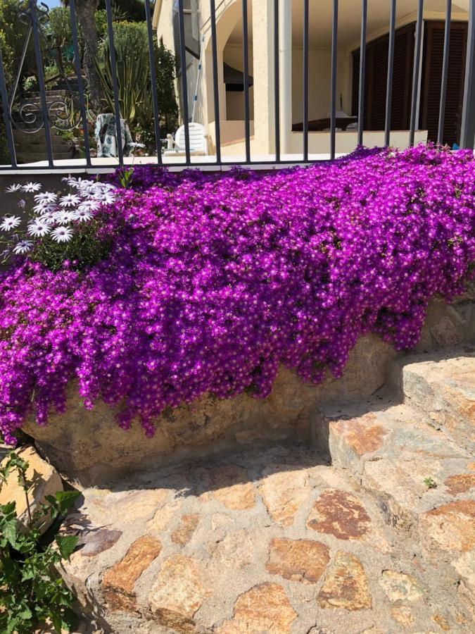 Villa Bouganvilla Tossa de Mar Eksteriør billede